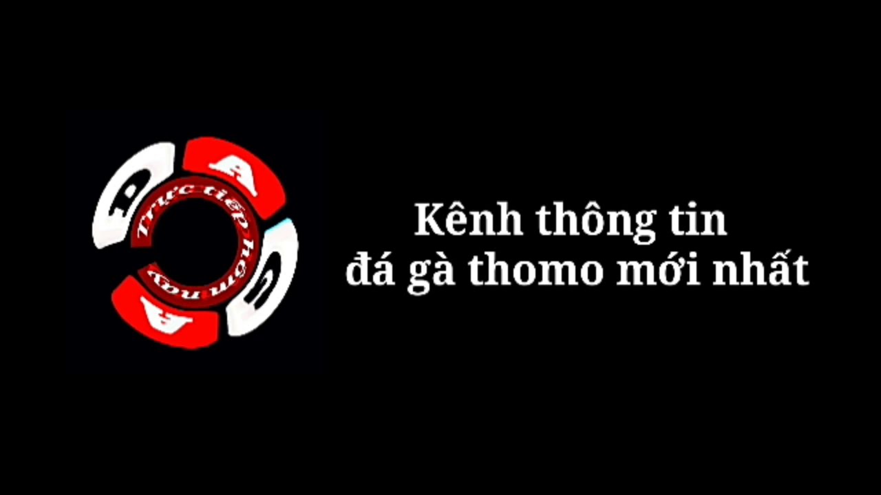 Tìm Hiểu Về TT Đá Gà Thomo